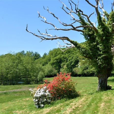 River Lodge - Cornwall Cardinham Екстер'єр фото