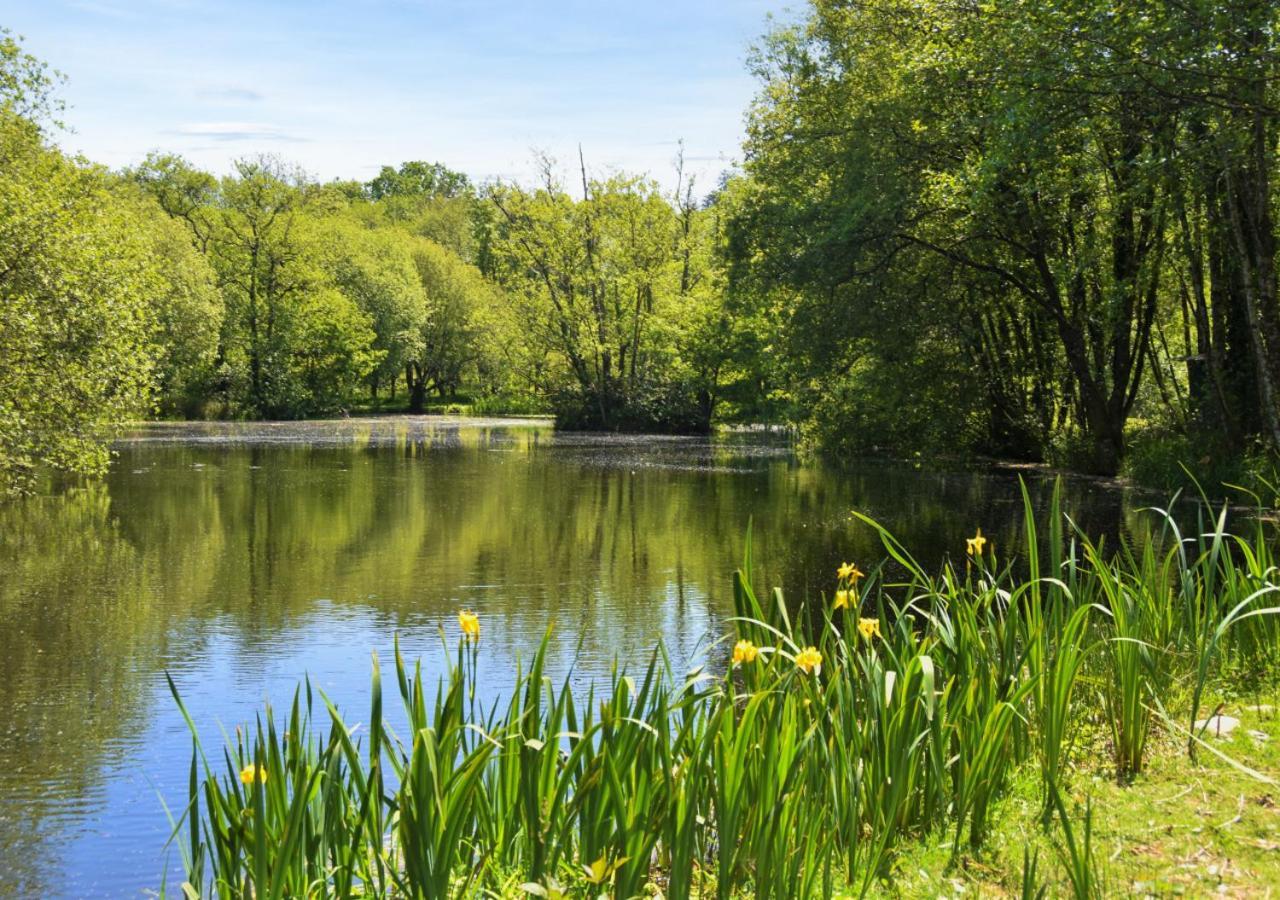 River Lodge - Cornwall Cardinham Екстер'єр фото